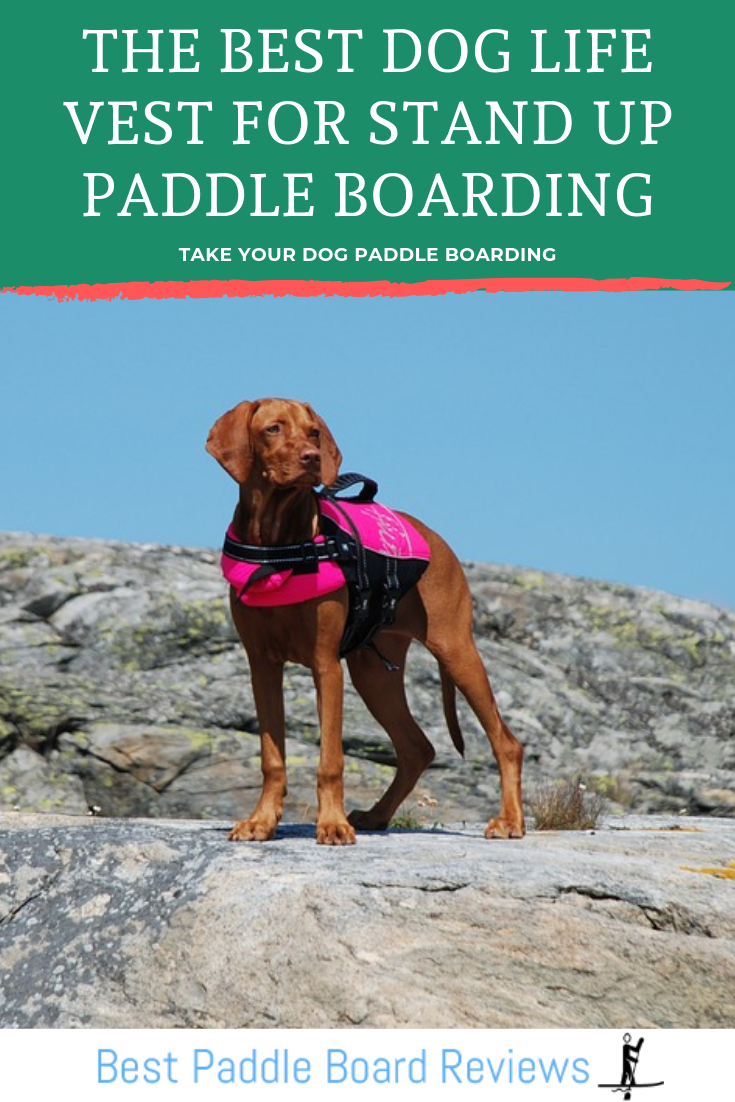 The Best Dog Life Vest for Stand Up Paddleboarding