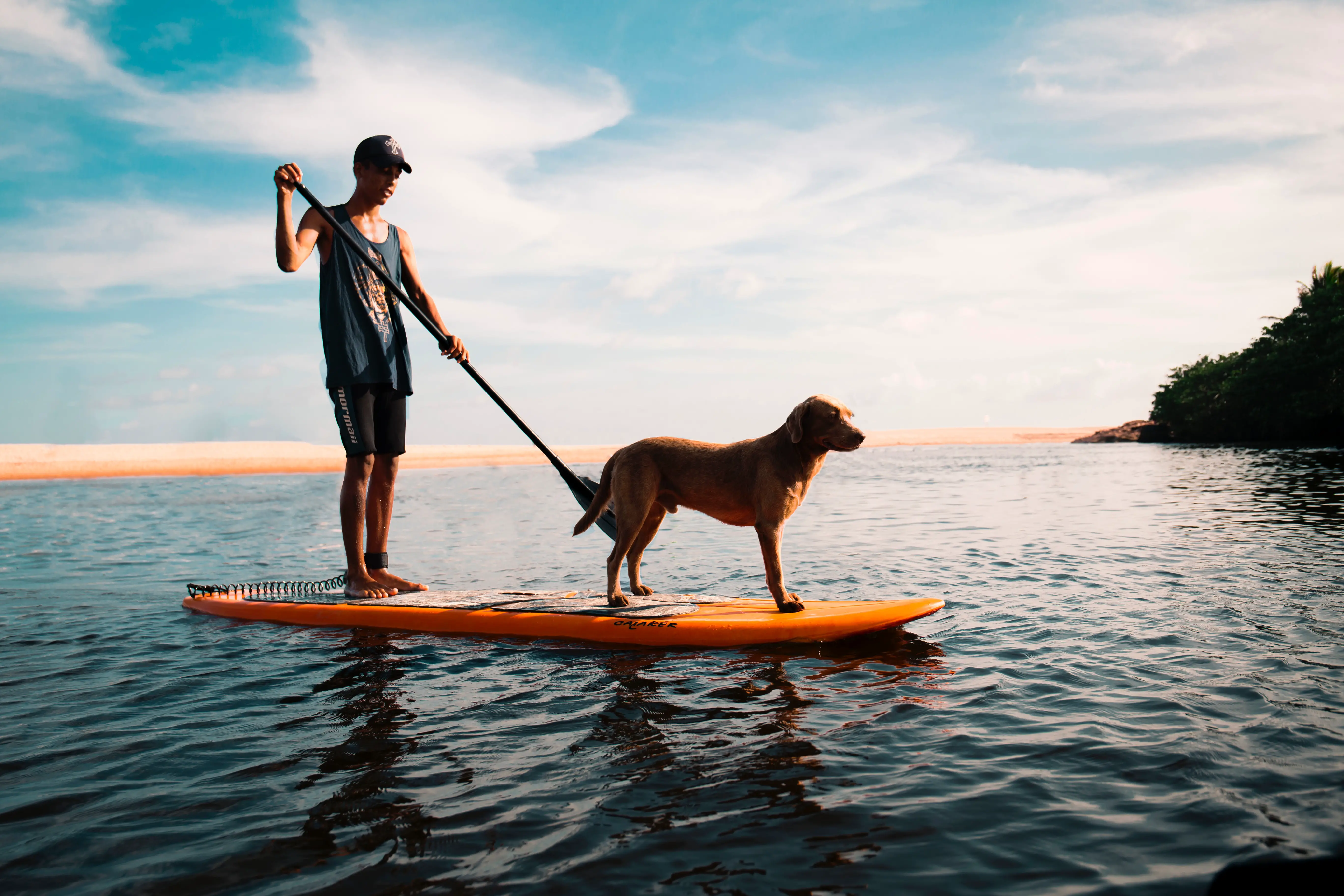 Dog Paddleboarding